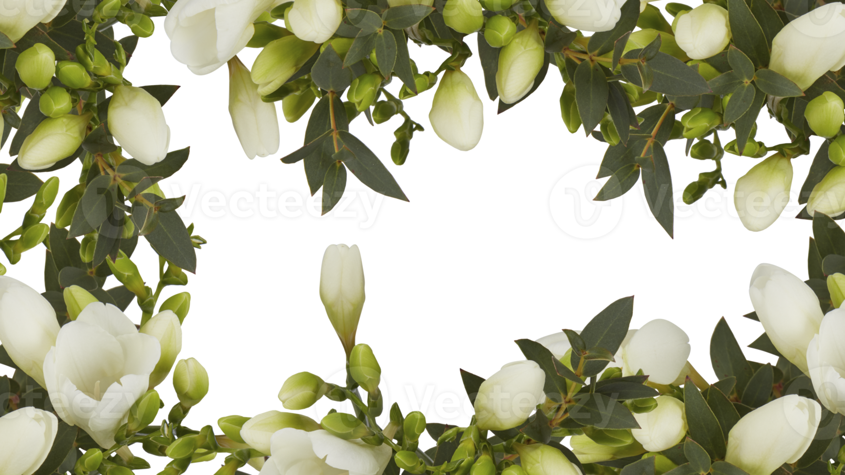 frame of flowers copy space for text with cut out isolated on background transparent png
