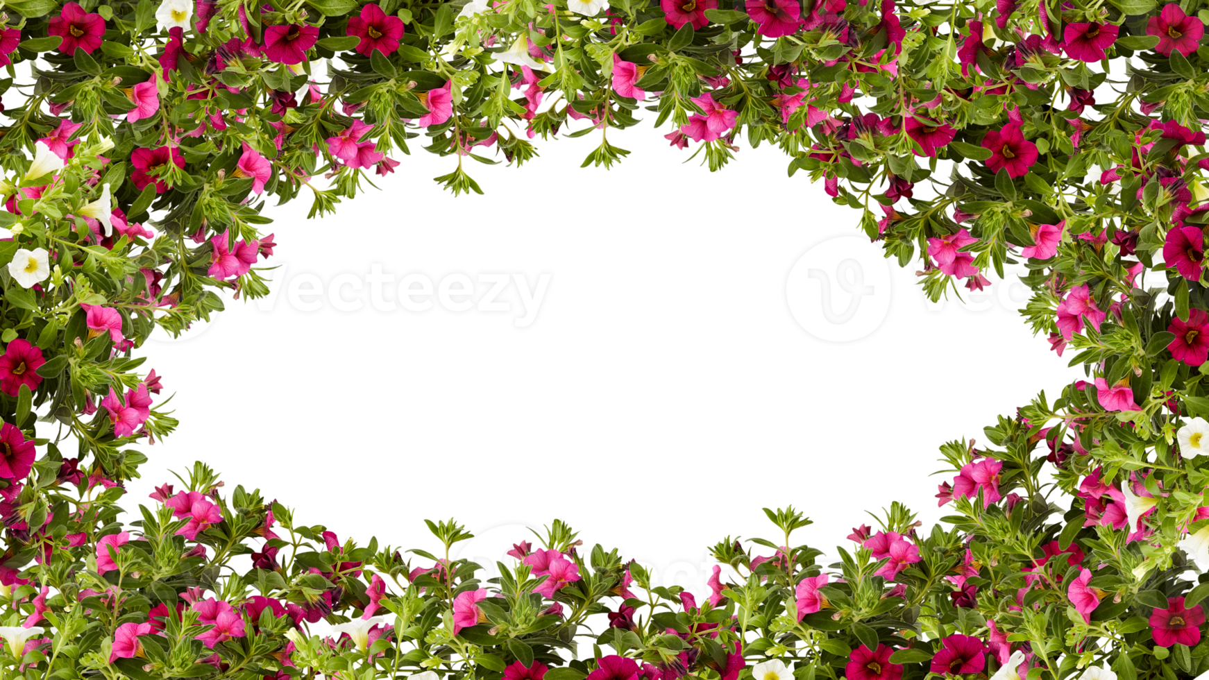 frame of flowers copy space for text with cut out isolated on background transparent png