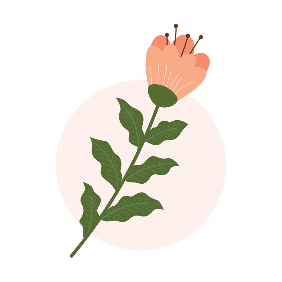 Vector floral design. Icon flower