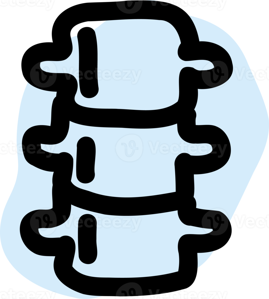 anatomía de la columna vertebral humana. png