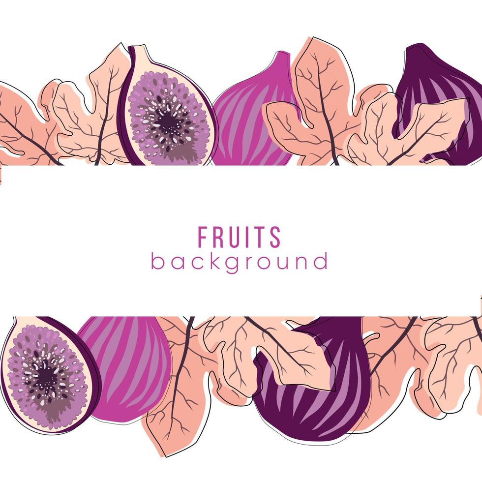 Fig fruits background in trend style vector