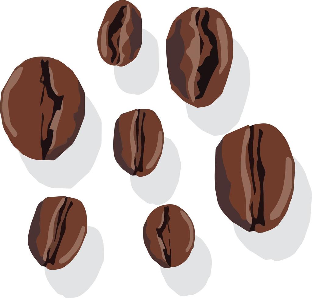 Coffee Beans Mix vector
