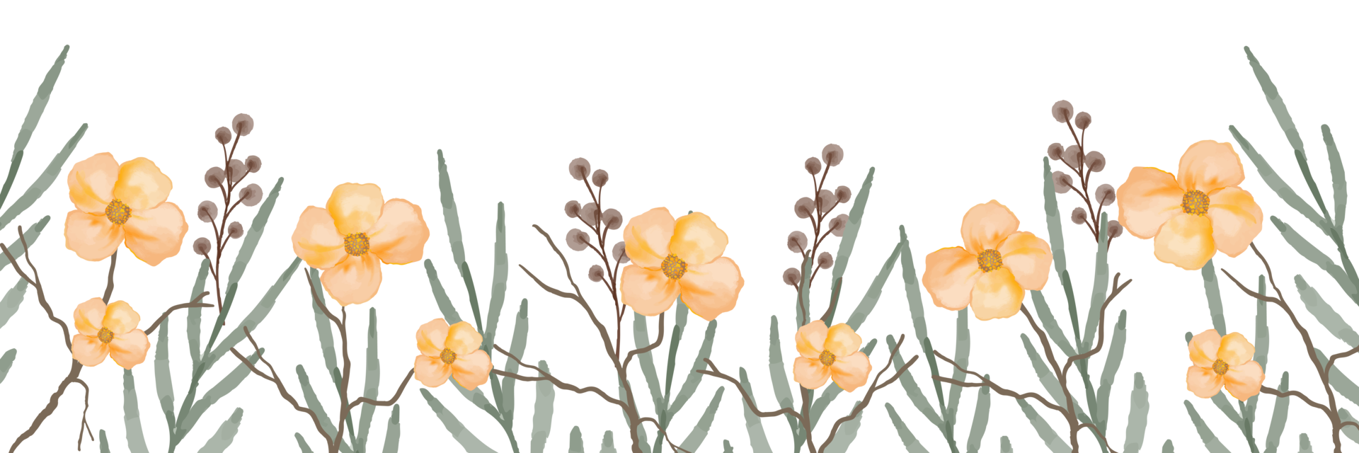 beautiful and elegant botanical watercolor border 17398573 PNG