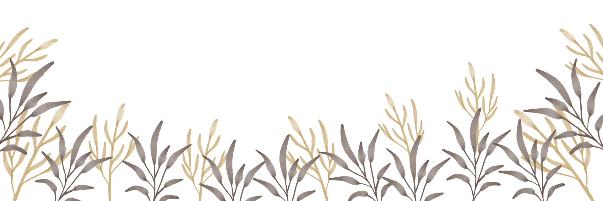 beautiful and elegant botanical watercolor border 17398578 PNG
