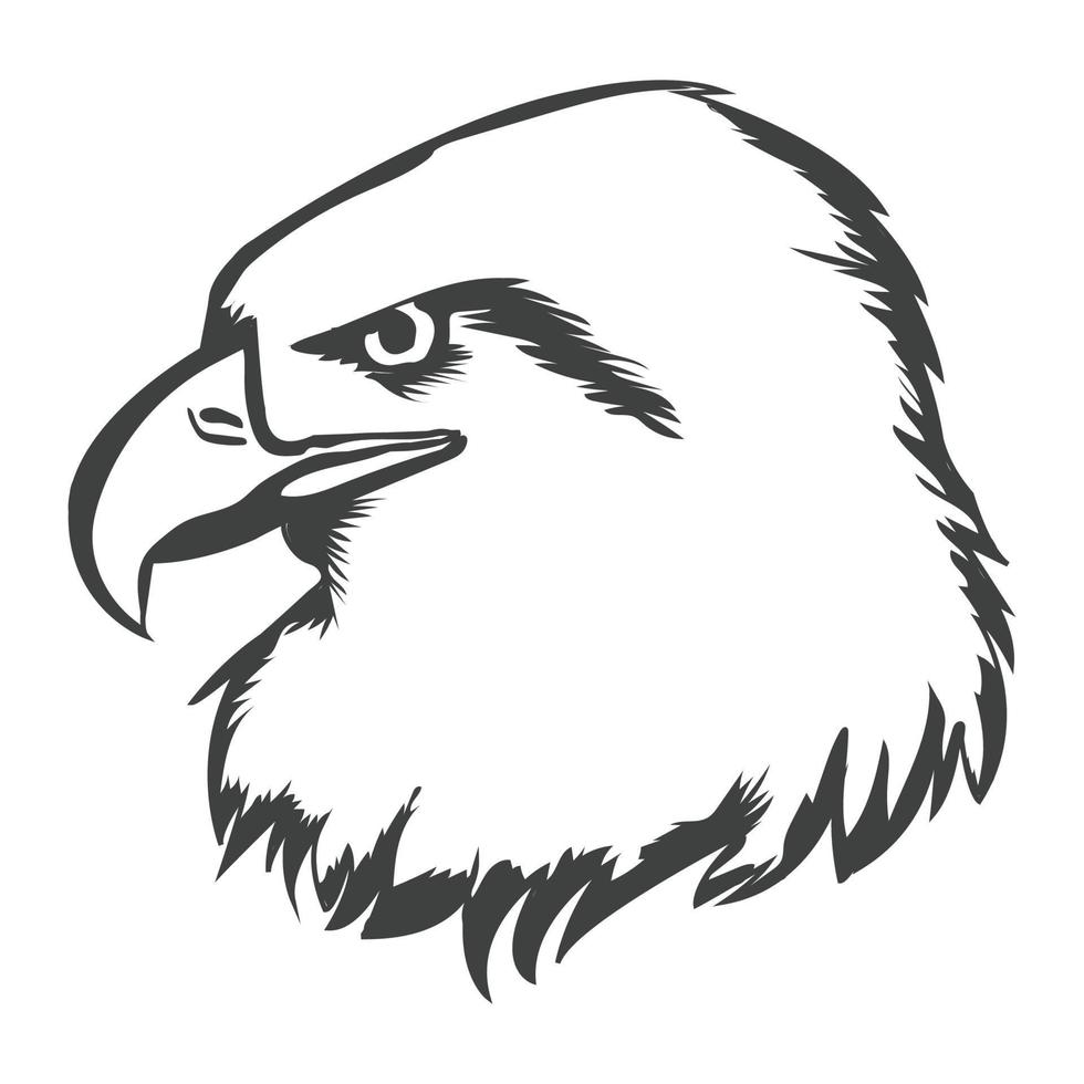 Eagle face vector illustration