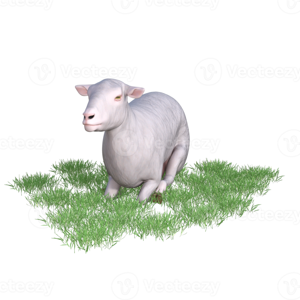 Sheep isolated 3d rendering png
