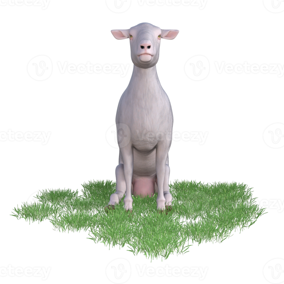 Sheep isolated 3d rendering png