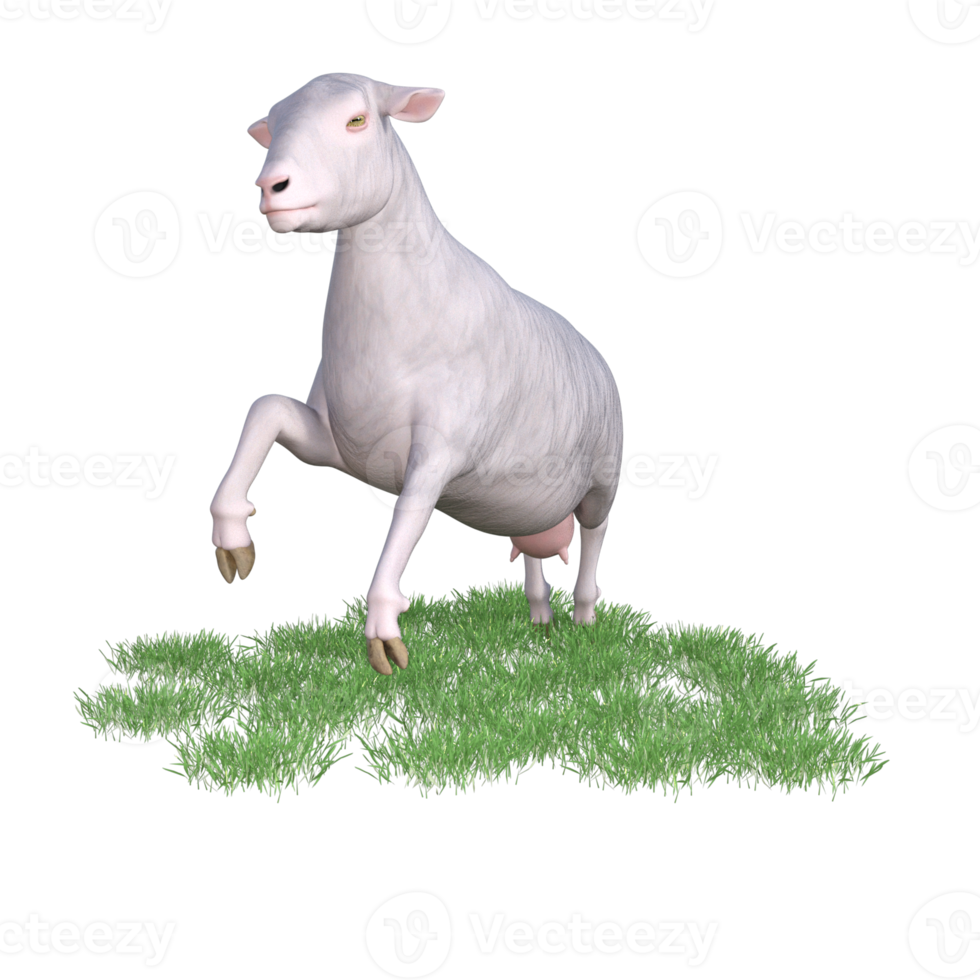 Sheep isolated 3d rendering png