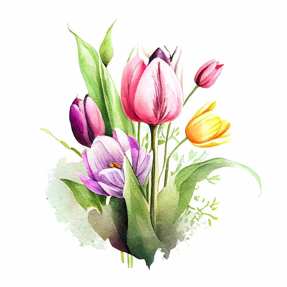 lindo ramo de flores de primavera de tulipán acuarela vector