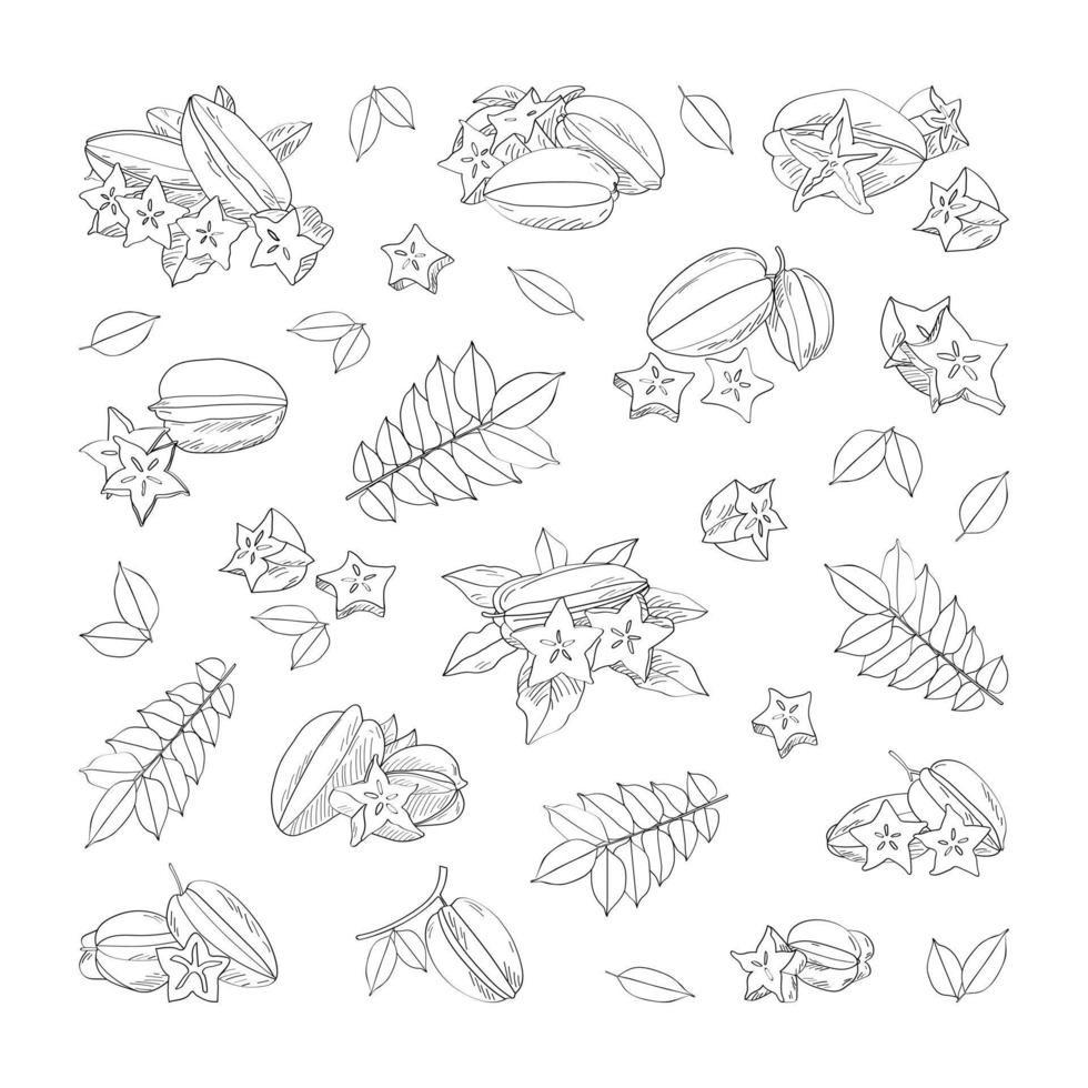 Exotic carambola fruit. Vector pattern in a hand-drawn style on a white background.