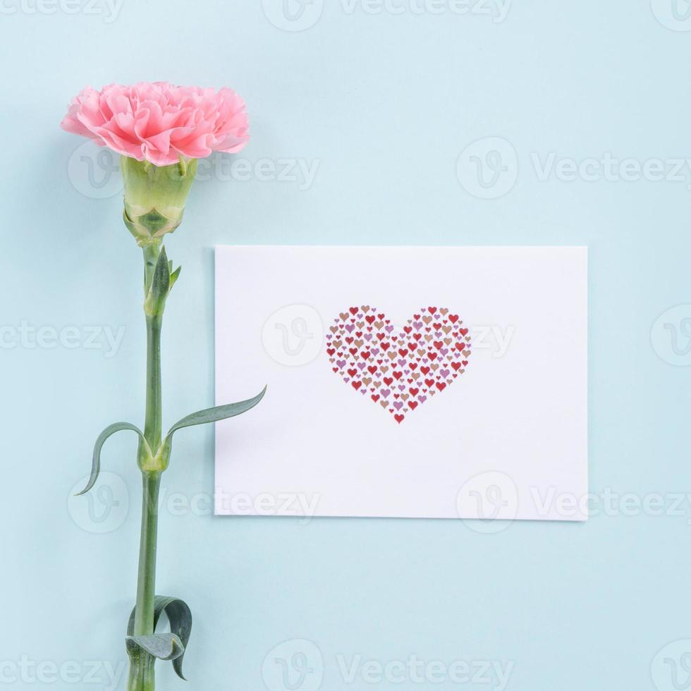 Beautiful, elegant pink carnation flower over bright light blue table background, concept of Mother's Day flower gift, top view, flat lay, overhead photo