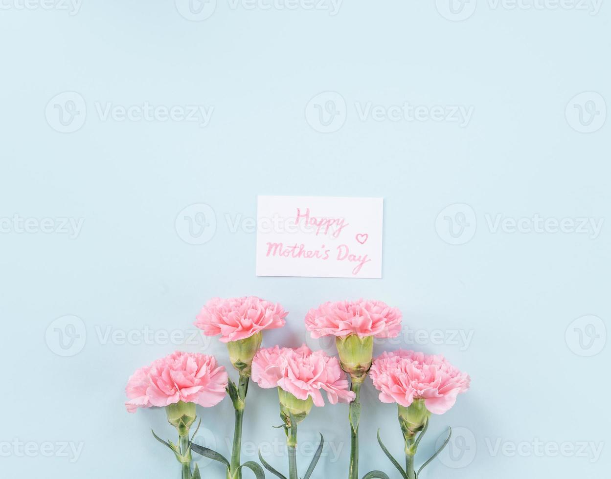 Beautiful, elegant pink carnation flower over bright light blue table background, concept of Mother's Day flower gift, top view, flat lay, overhead photo