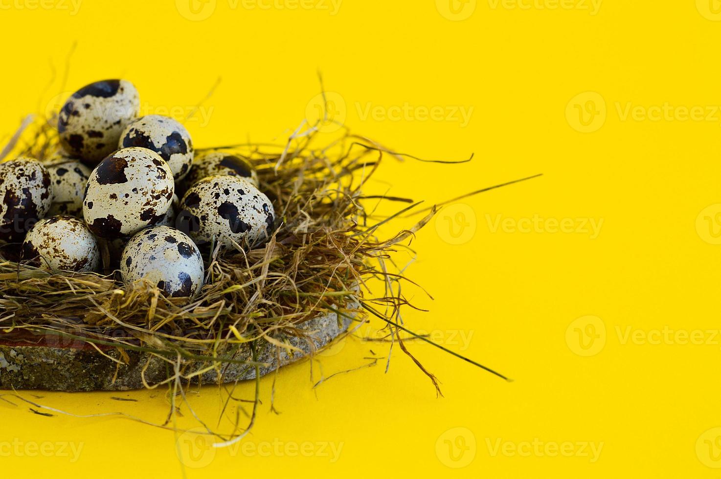 tarjeta de felicitación de pascua de primavera con huevos de codorniz en un nido sobre un fondo amarillo. comida sana. foto