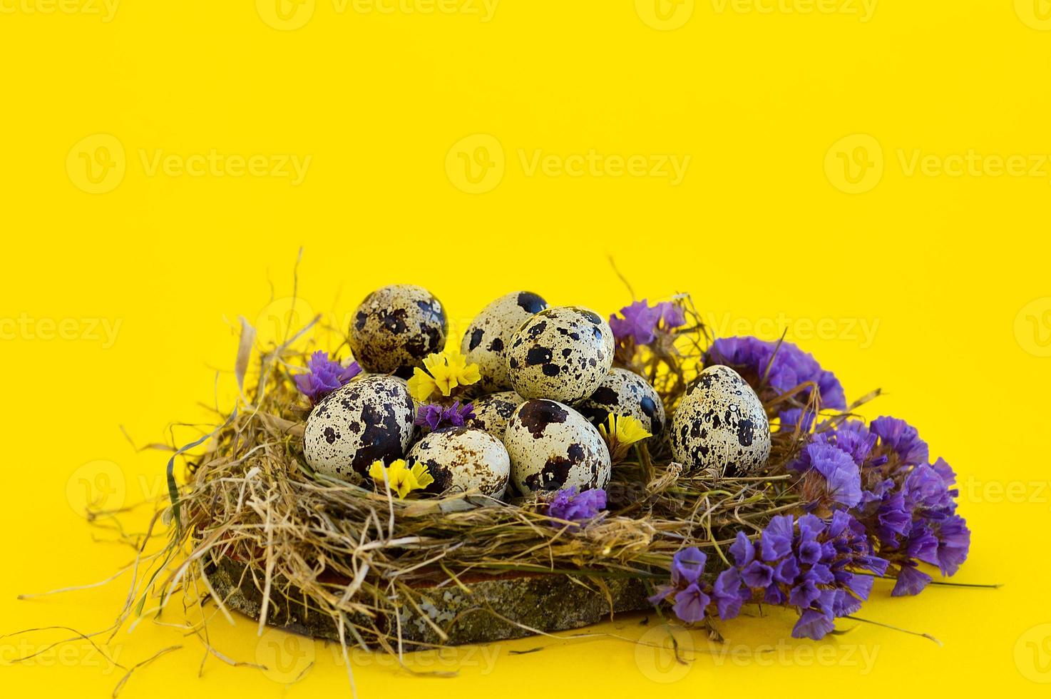 Spring Easter greeting card with quail eggs whith flowers in a nest on a yellow background. Healthy food. photo