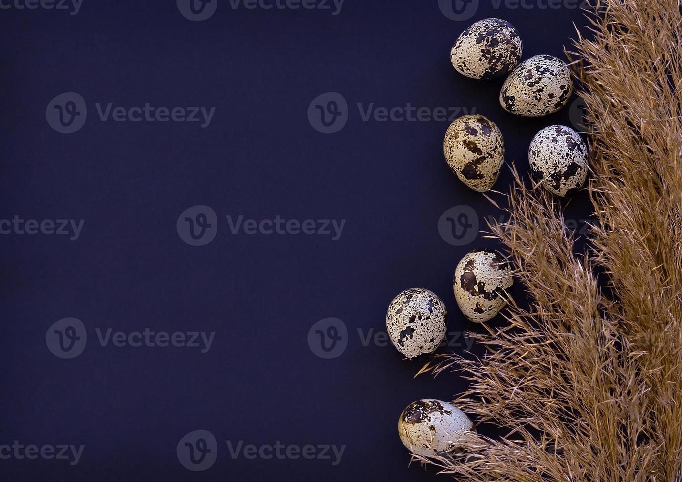 Easter eggs on a dark background with pampas grass. flat lay, top view. The concept of the Easter holiday. photo