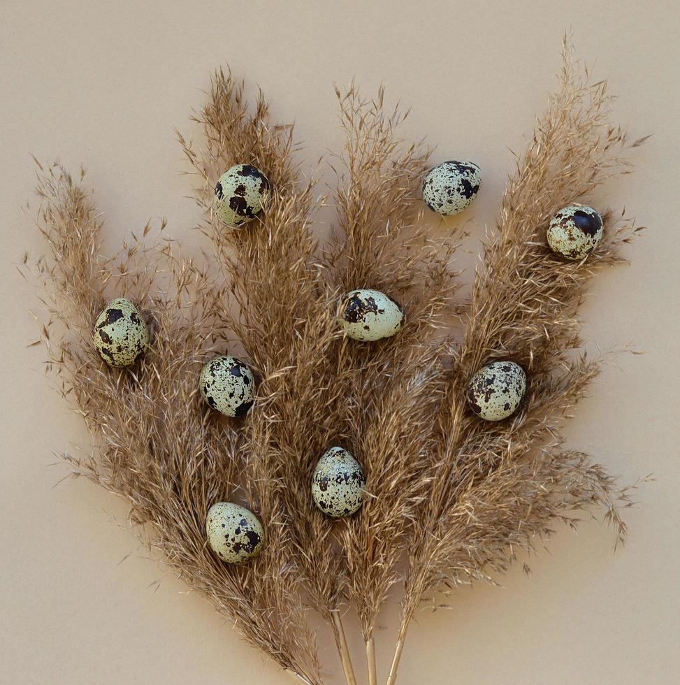 Easter eggs on a beige background with pampas grass. flat lay, top view. The concept of the Easter holiday. photo