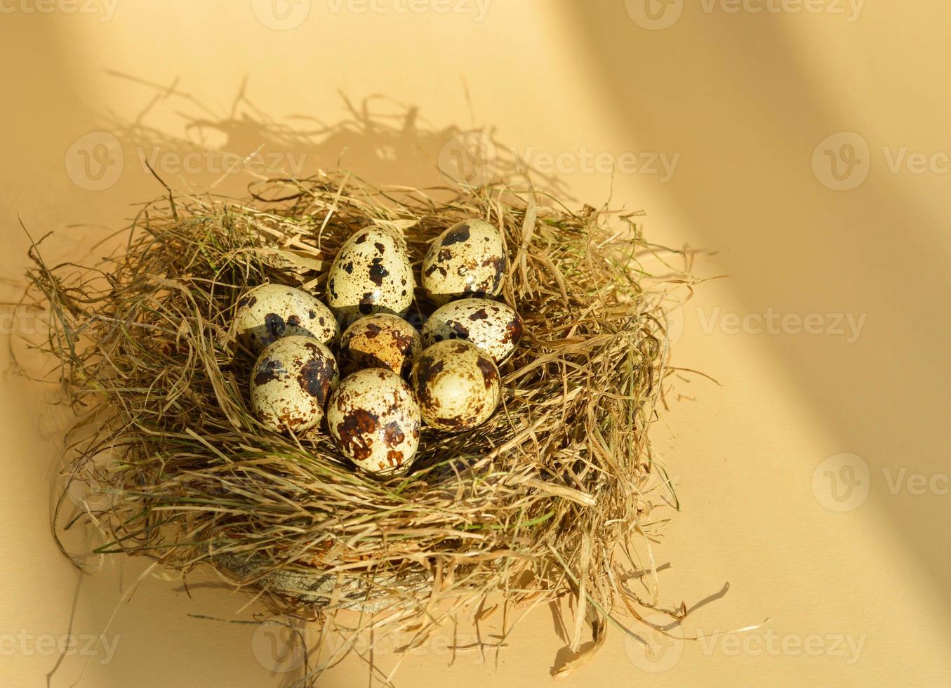 Spring Easter greeting card with quail eggs in a nest on a beige background. Healthy food. photo