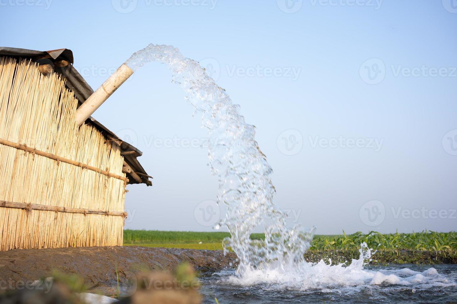 Irrigation of rice fields using pump wells with the technique of pumping water from the ground to flow into the rice fields. The pumping station is where water is pumped from an irrigation canal. photo