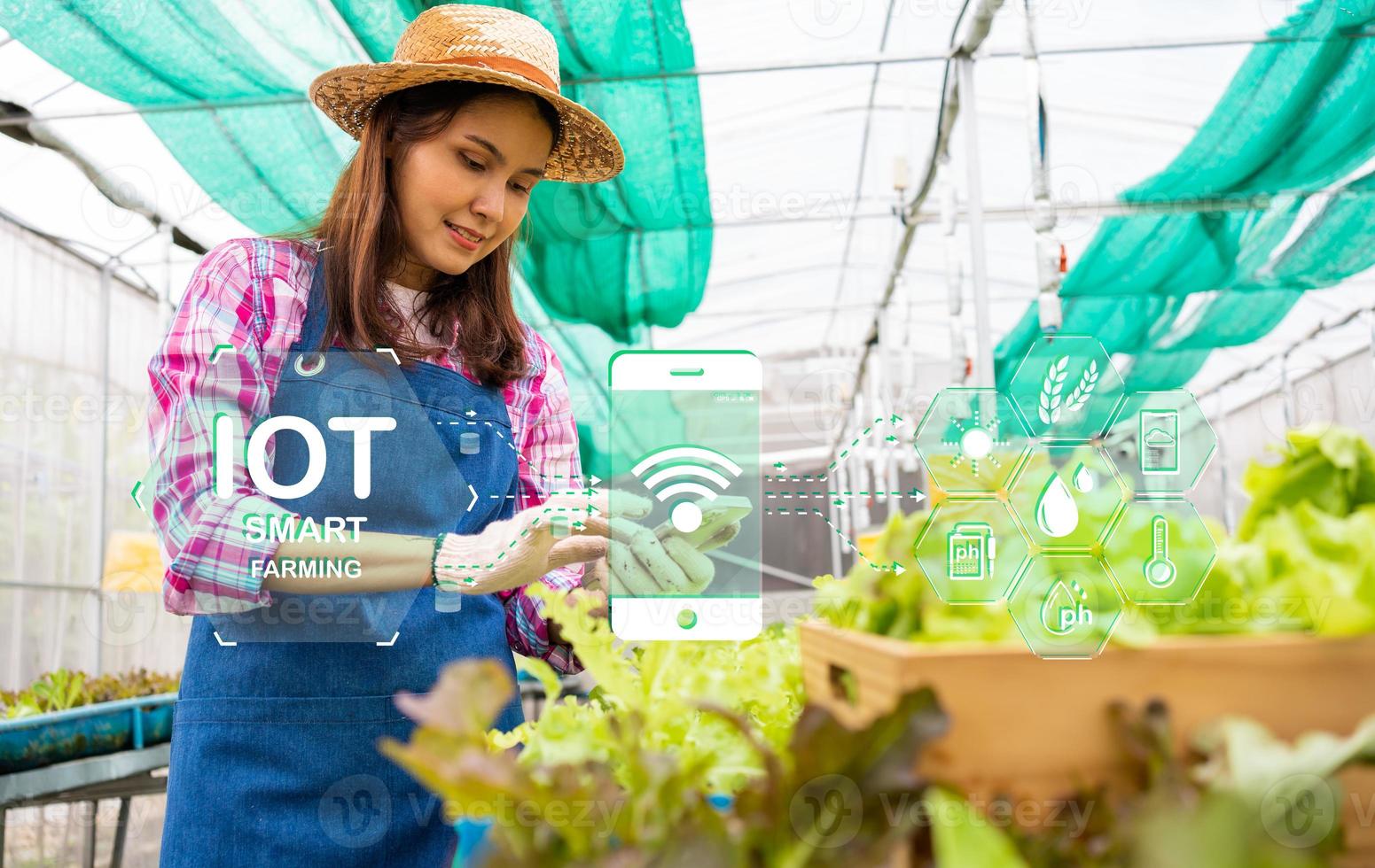 farmer woman use smartphone in greenhouse using apps and internet of things IOT  for checking fresh green oak lettuce salad, organic hydroponic vegetable in greenhouse, IOT Agriculture Concept. photo