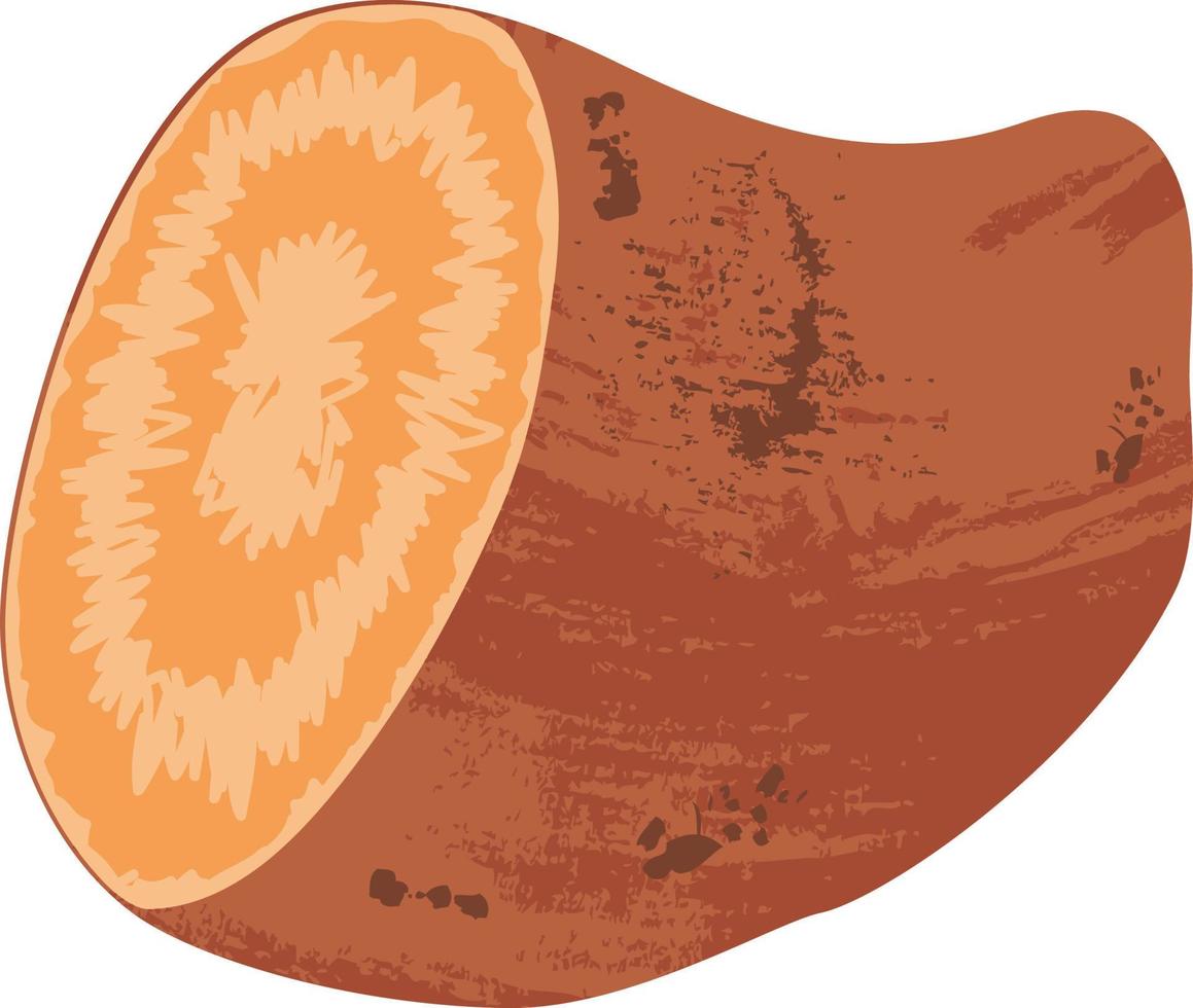 sweet potato slice vector