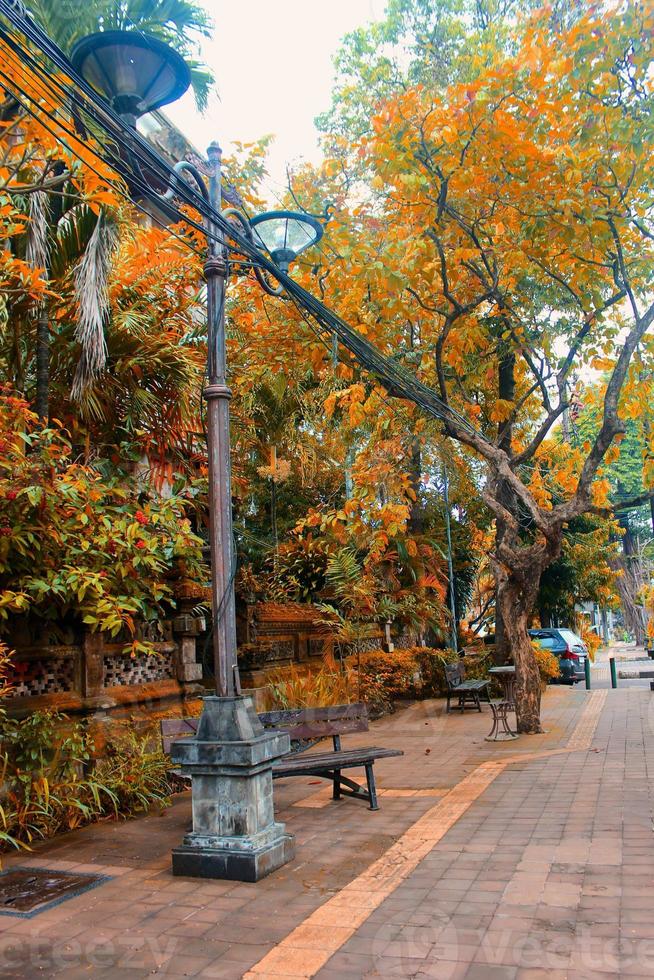 A street lamp pole that is so aesthetic in a park area in Denpasar. photo