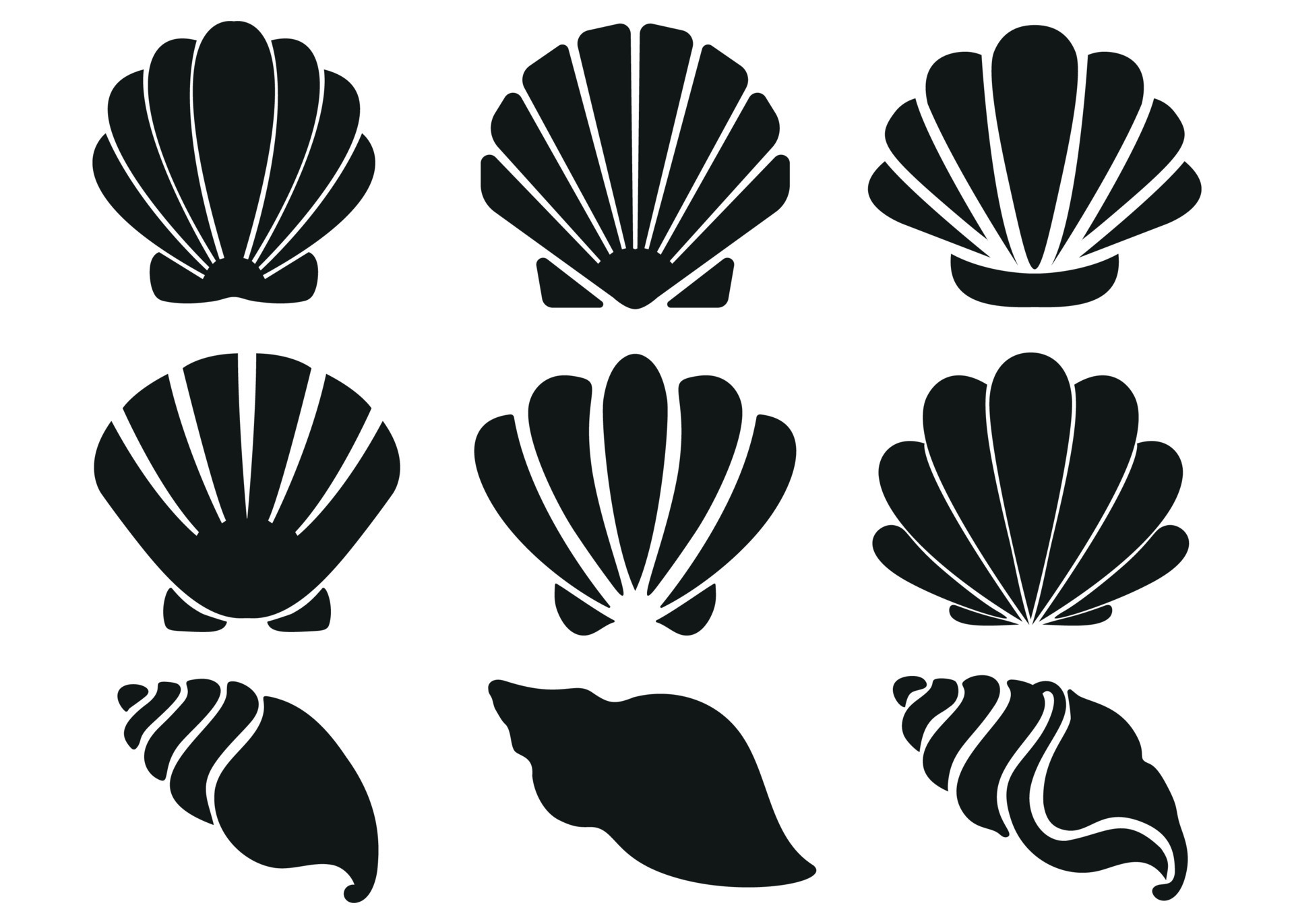 seashell set silhouette illustration isolated on white background