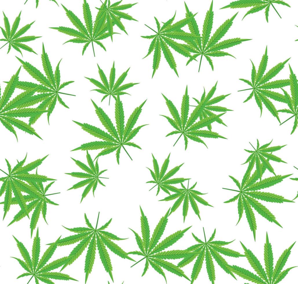 Cannabis or Marijuana Seamless Pattern with Leavevs Isolated on White. vector