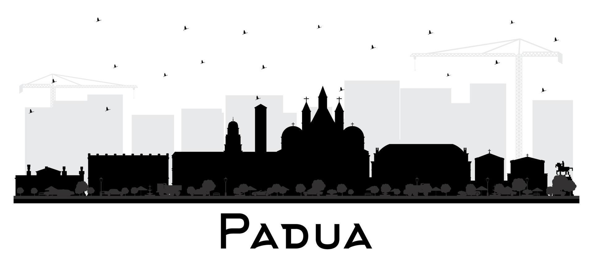 silueta del horizonte de la ciudad de padua italia con edificios negros aislados en blanco. vector