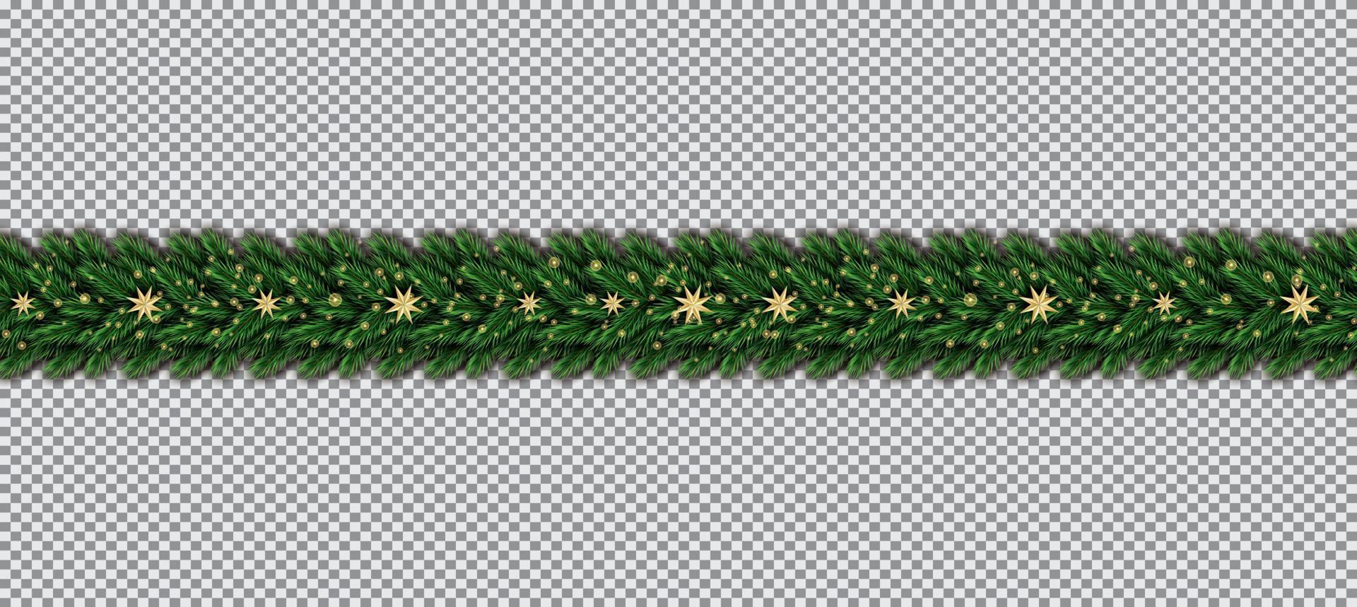 Border with Christmas Tree Branches and Golden Stars on Transparent Background. vector