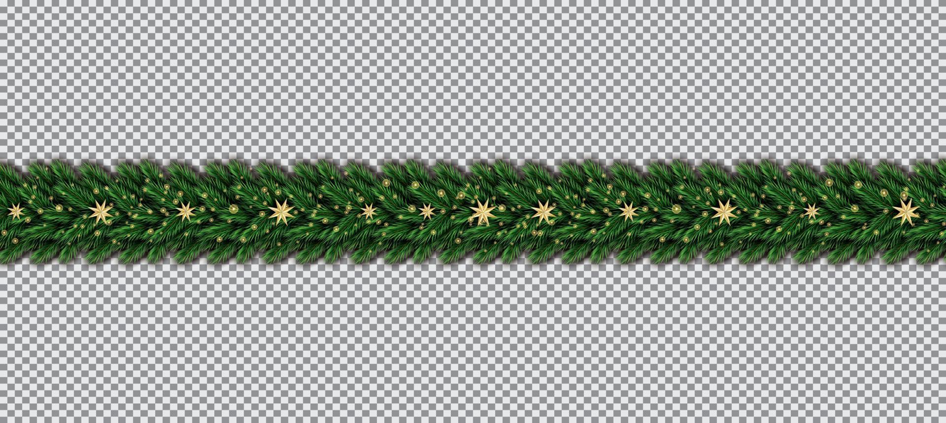 Border with Christmas Tree Branches and Golden Stars on Transparent Background. vector