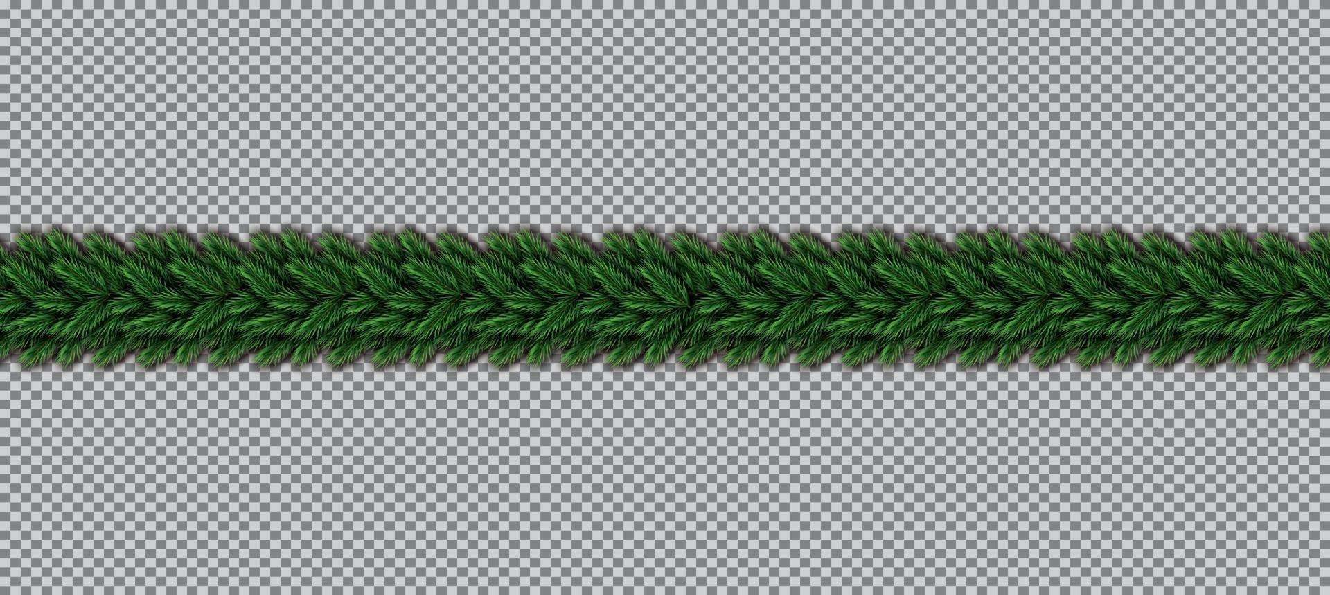 Border with Christmas Tree Branches on Transparent Background. vector