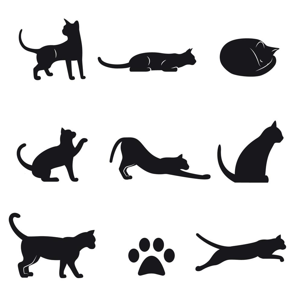 conjunto de iconos aislados sobre un tema gatos vector