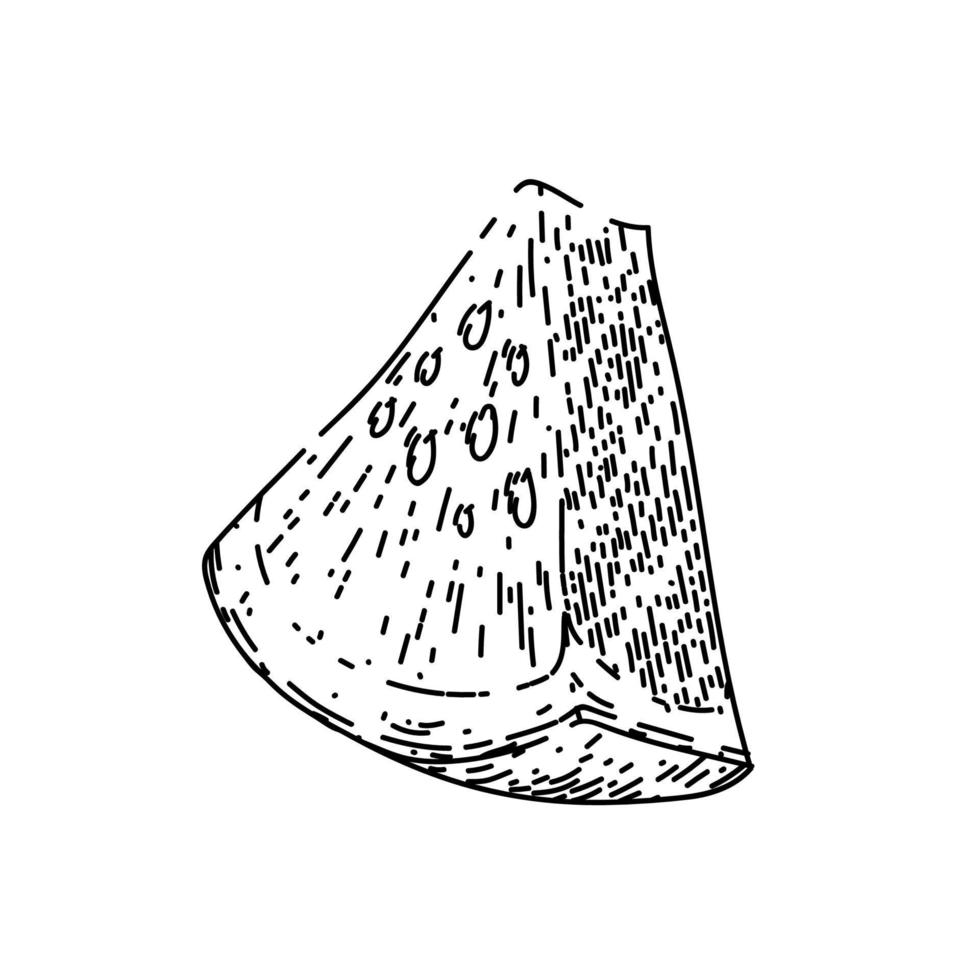 watermelon slice sketch hand drawn vector