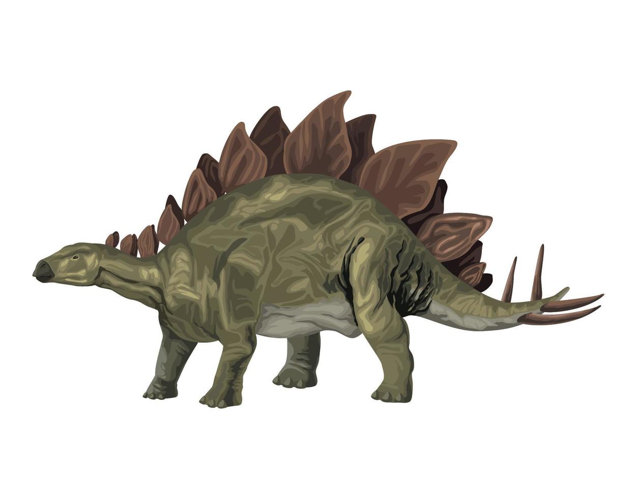 stegosaurus dinosaur prehistoric animal vector