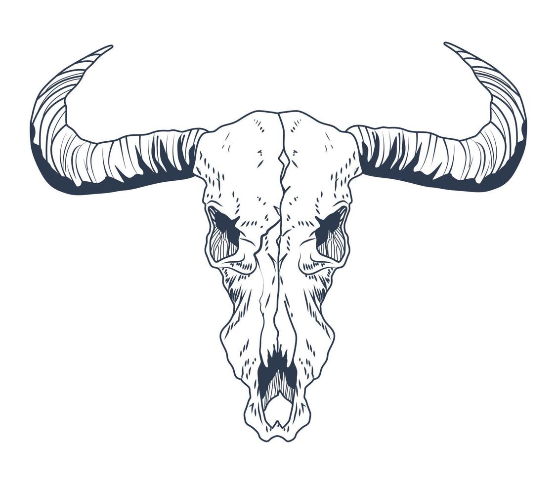 bull skull boho style vector