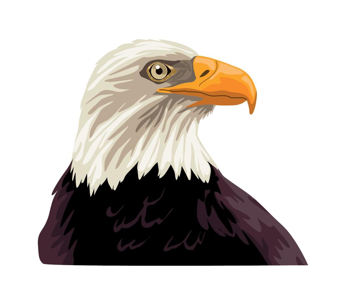 eagle bald wild animal vector