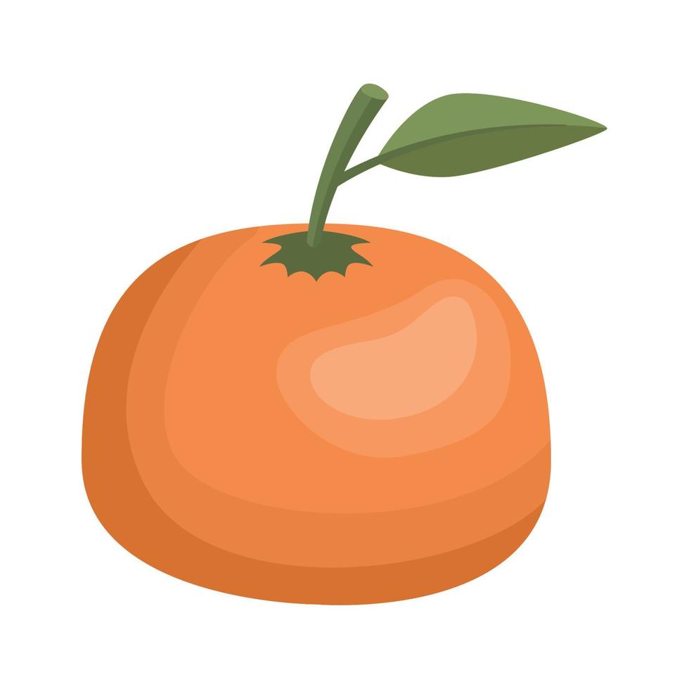 orange citrus fruit vector