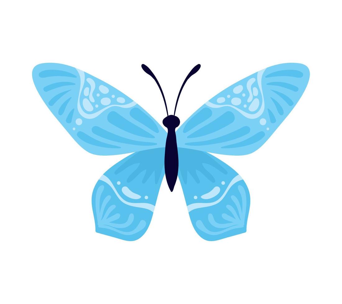 butterfly with blue wings vector