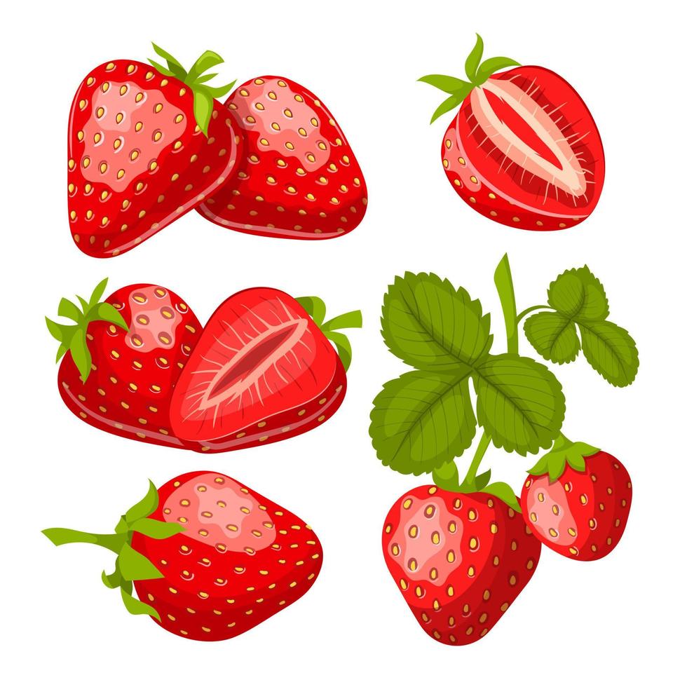 conjunto de frutas de fresa ilustración vectorial de dibujos animados vector