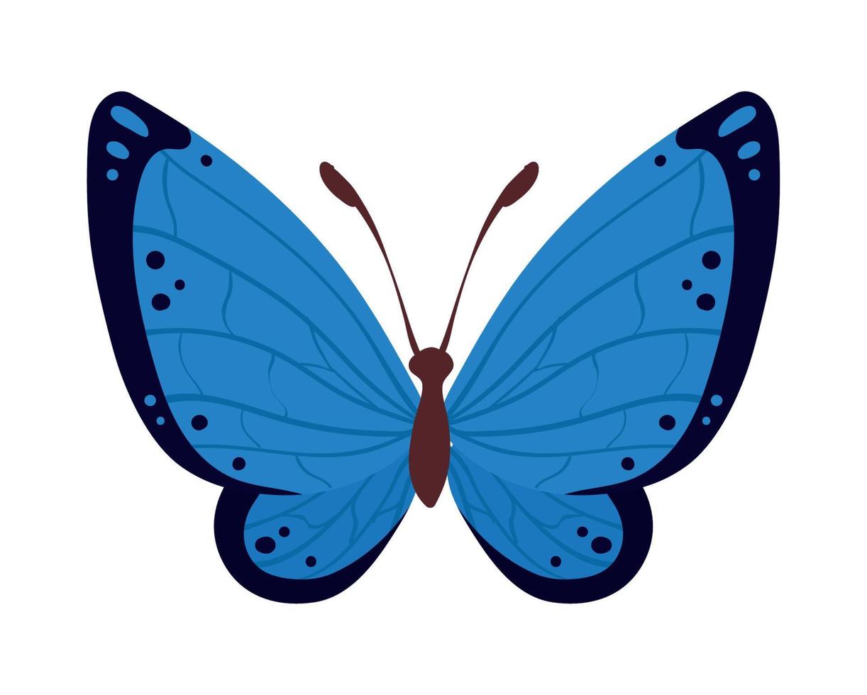 linda mariposa azul vector