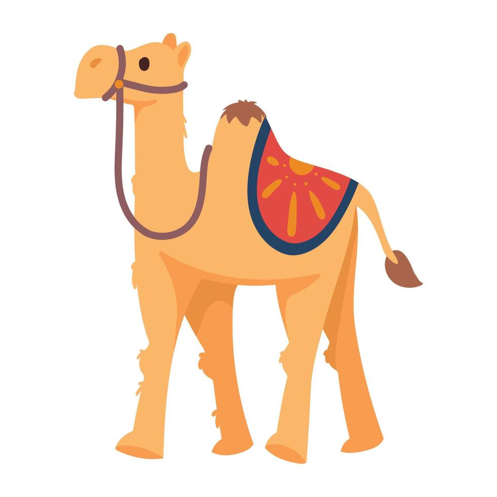 camel desert transport vector