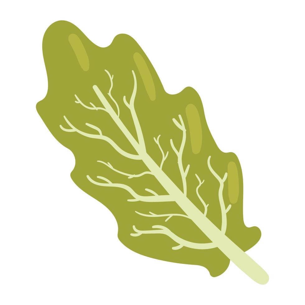 lechuga fresca vector