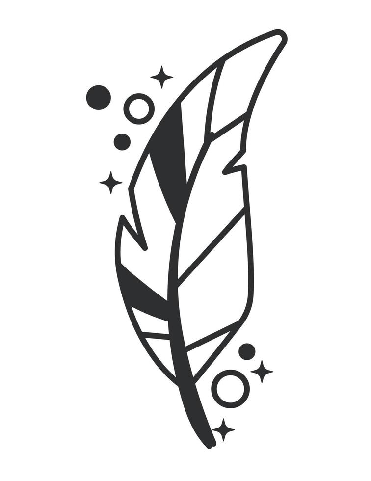 feather bird esoteric vector