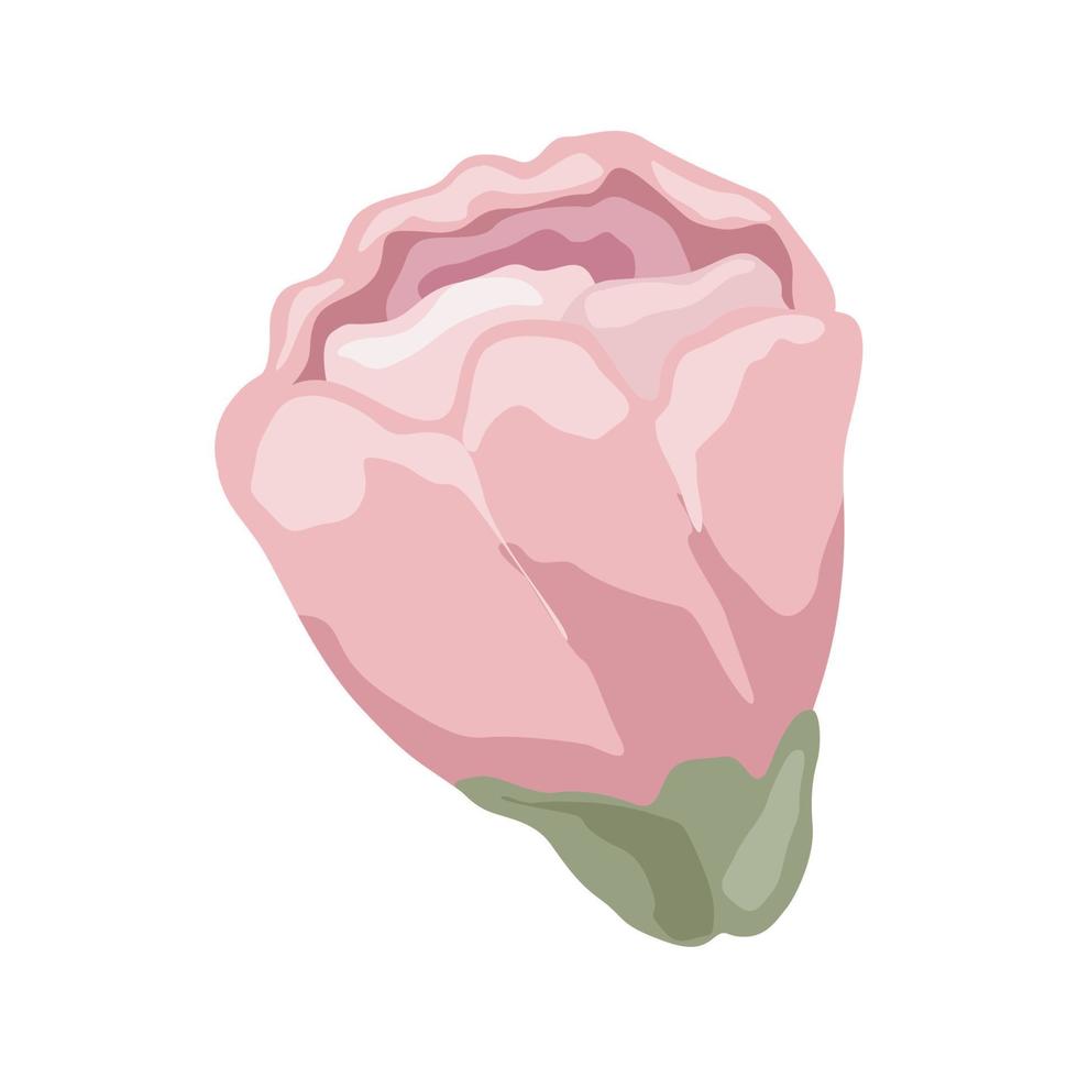rosa rosa jardín de flores vector