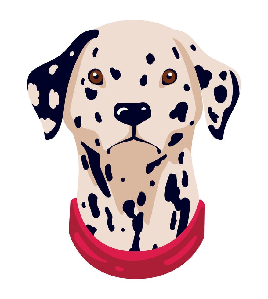 dalmatian dog mascot vector