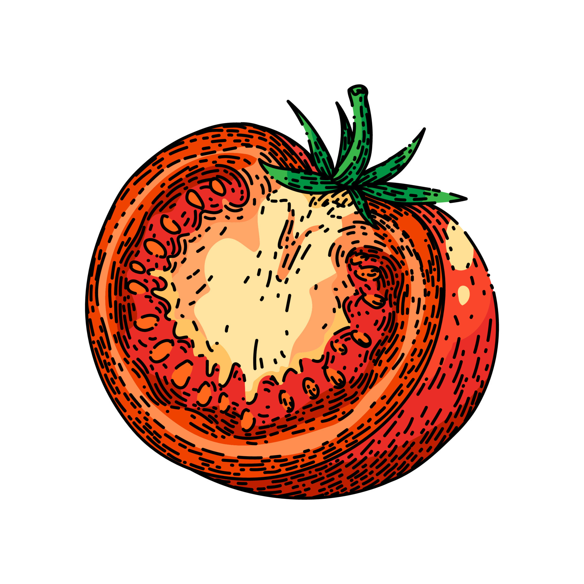 tomato slice sketch hand drawn vector 17406642 Vector Art at Vecteezy