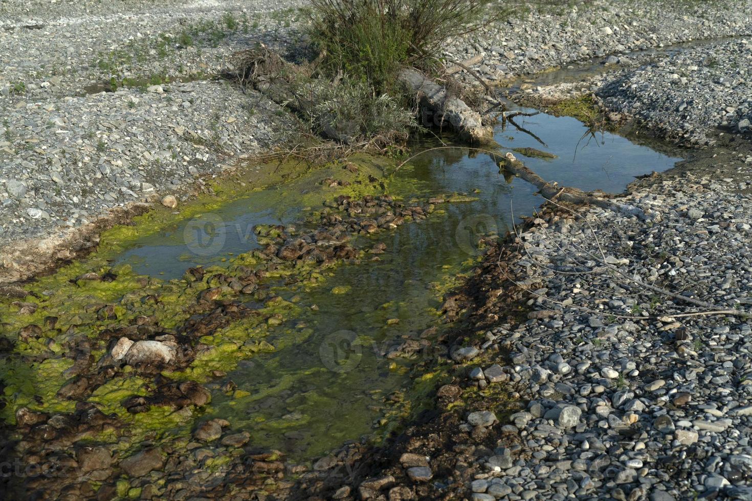 río contaminado agua verde y amarilla foto