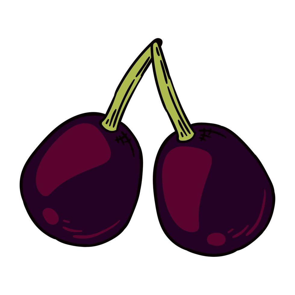 dos uvas frutas frescas vector