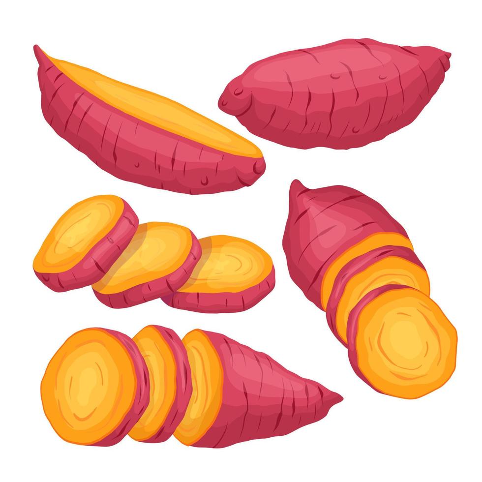 batata naranja conjunto dibujos animados vector ilustración