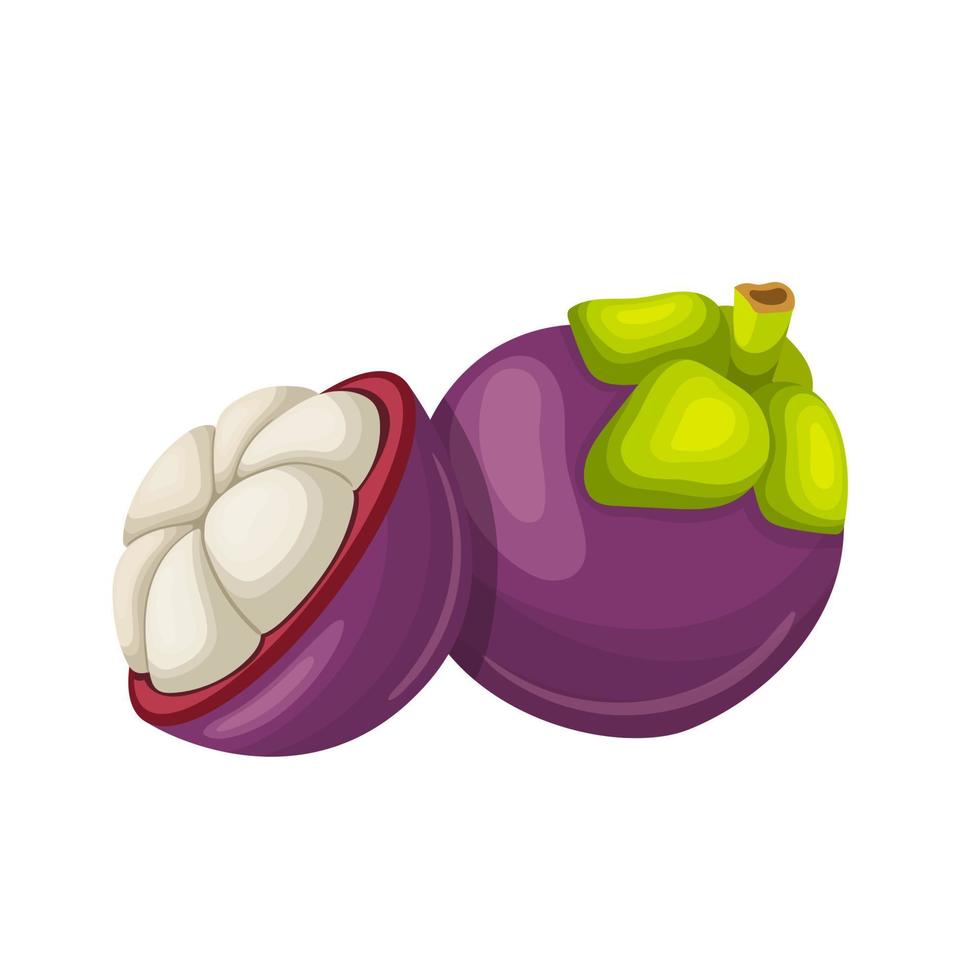 Ilustración de vector de dibujos animados de corte de fruta de mangostán